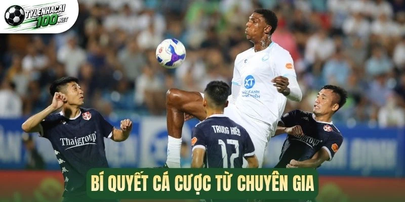 Bí quyết cá cược từ chuyên gia